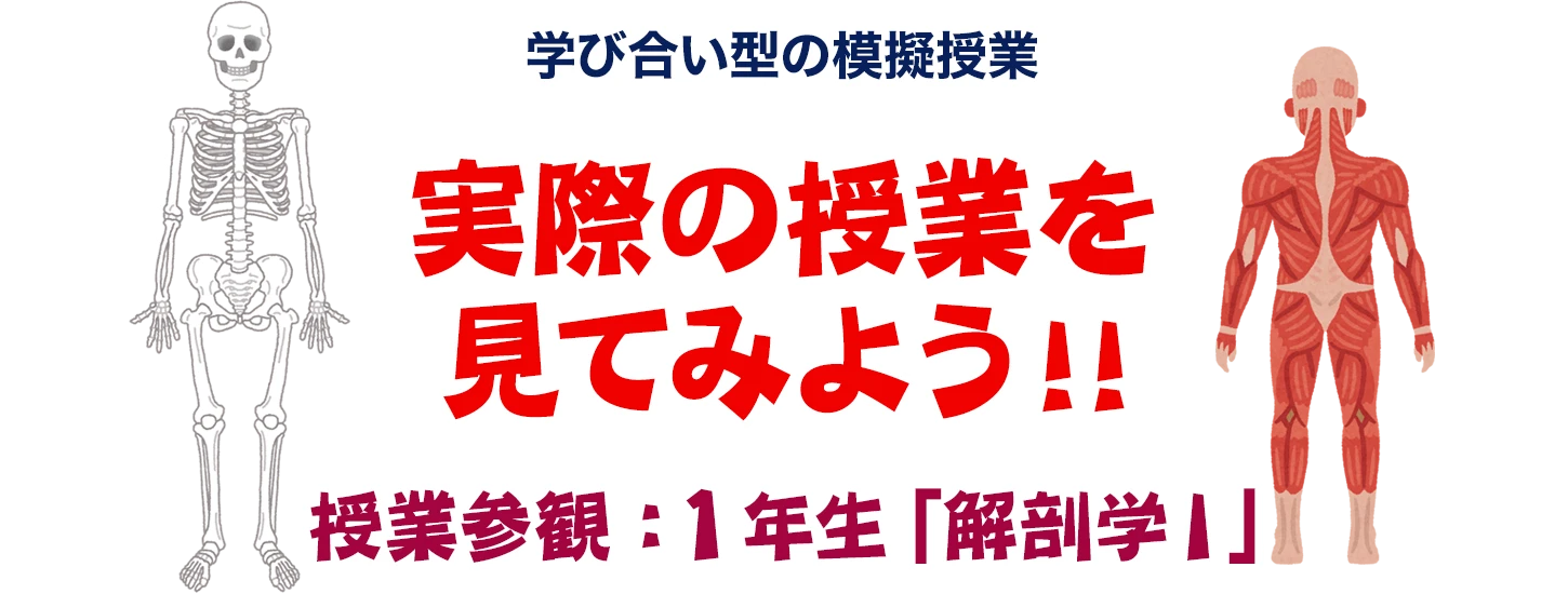 理学療法的ストレッチの秘密 理学療法ミニレクチャー