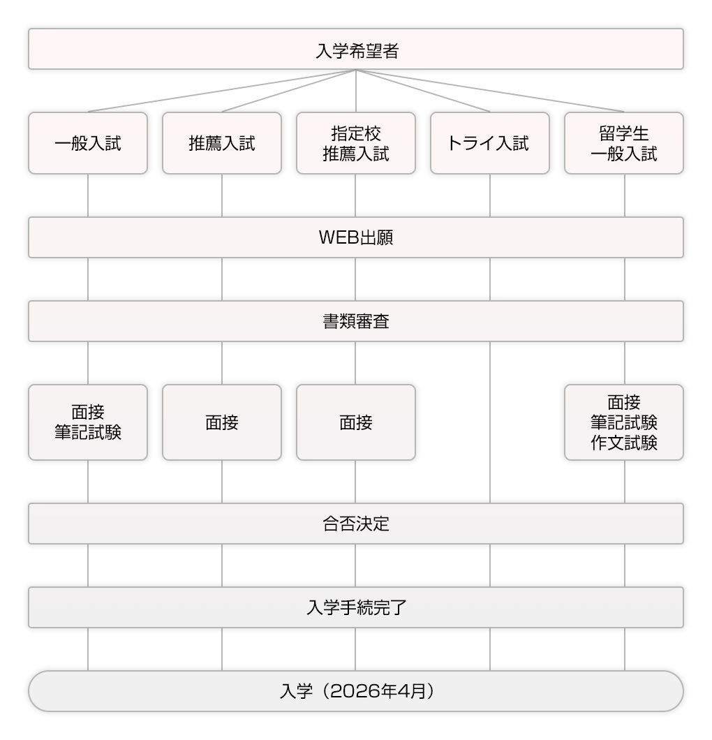 願書提出から入学までの流れの図